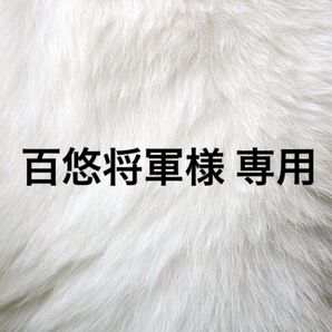 百悠将軍様 専用
