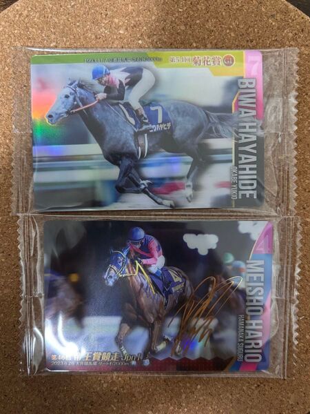 サラブレッドホースコレクション 第2R メイショウハリオ サイン 競馬 カード
