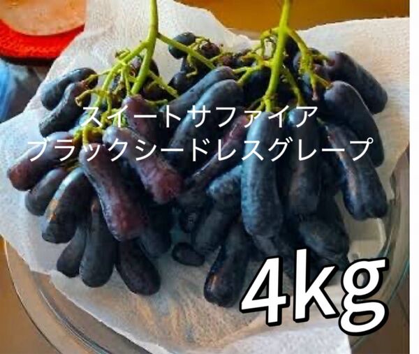 4kg スイートサファイア ブラックシードレスグレープ オーストリア産 ぶどう 大容量 濃厚な甘み