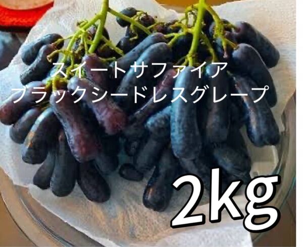 2kg スイートサファイア ブラックシードレスグレープ オーストリア産 ぶどう 大容量 濃厚な甘み