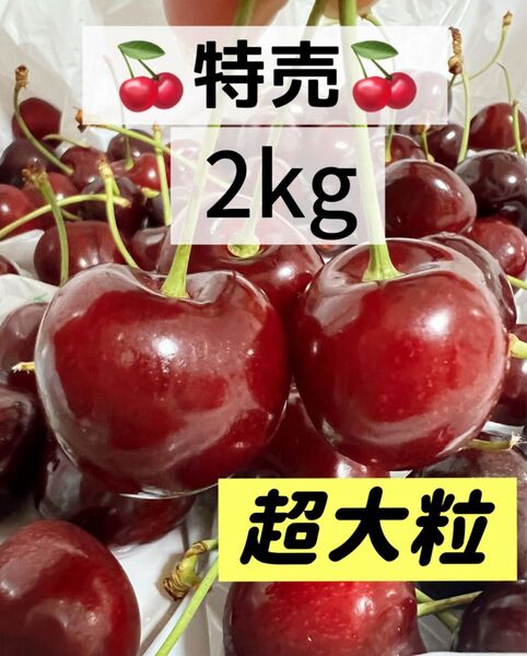 9.5r超大粒アメリカンチェリー 2kg 父の日 中元 家庭用 ポスト投函 車厘子 美國櫻桃 さくらんぼ 国内検品発送