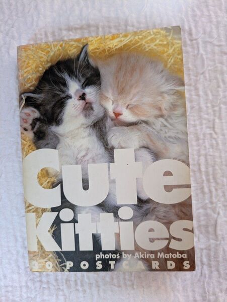 ★Cute Kitties 30枚*ポストカード*可愛い猫ちゃんポストカードブック★おまけ付き♪