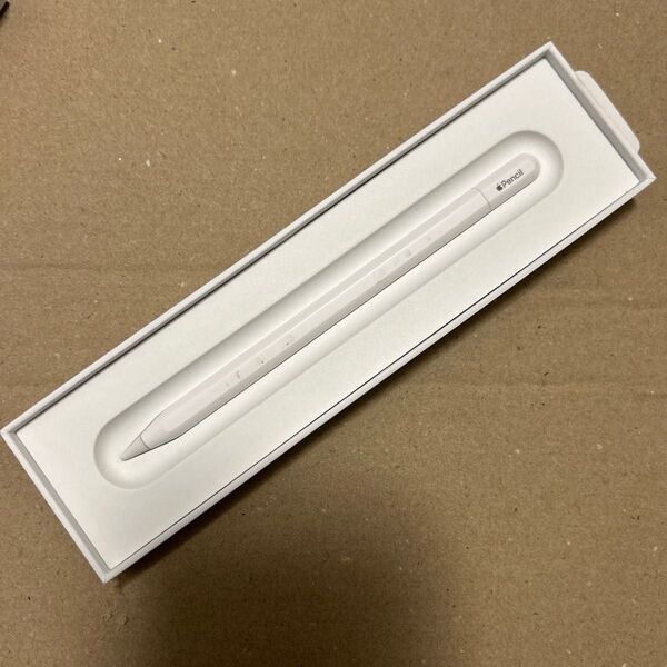 Apple Pencil USB-C 正常動作品