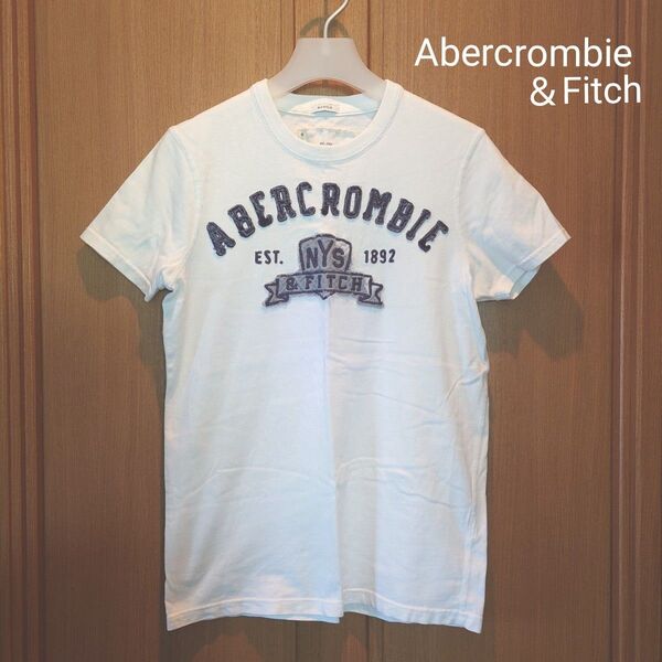 Abercrombie&Fitch アバクロ メンズ 半袖Tシャツ S