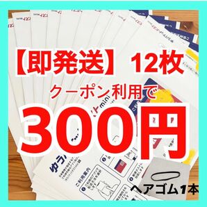 【即発送】ゆうパケットポストmini ゆうパケットポストミニ 12枚 ヘアゴム1本