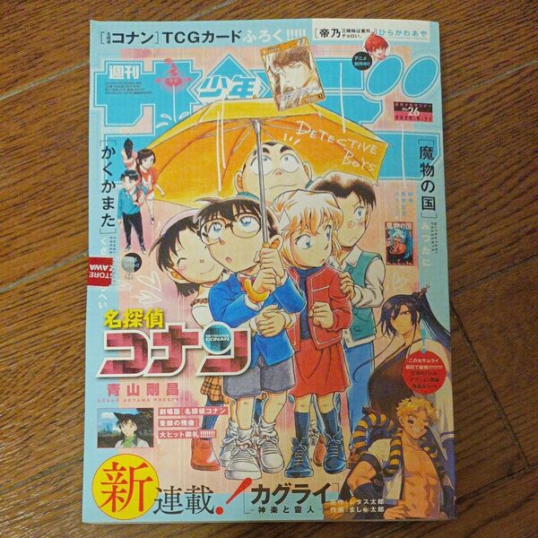 週刊少年サンデー 2025年6月11日号 (小学館)