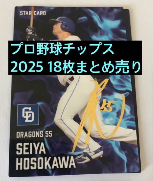 プロ野球チップス 2025年 第一弾 カード カルビー 18枚セット 中日 細川 レア 金箔サイン入り キラカード込み
