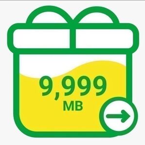 mineoパケットギフト 9999MB