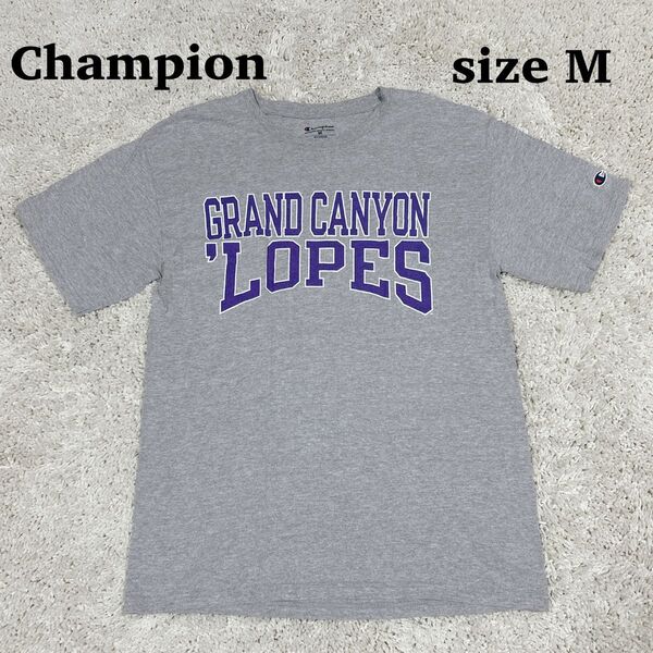 【希少】 Champion グランドキャニオン ロープス Tシャツ カットソー 半袖 プリント ロゴ キャンバス 大学 グレー M