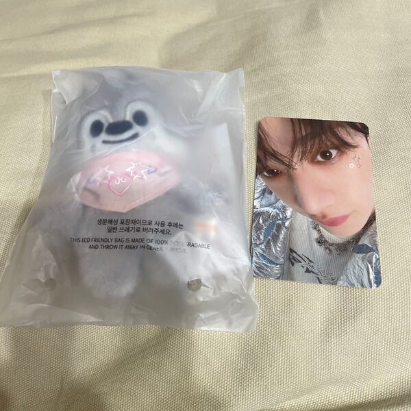 StrayKidsペンミskzoo 10cm PLUSHウルフチャン