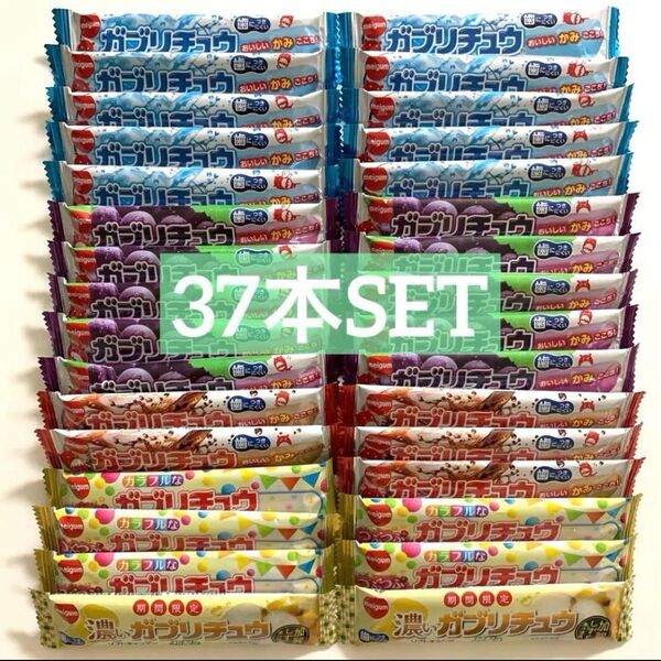 ガブリチュウ 濃いガブリチュウ まとめ売り