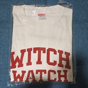 ラスト1点 Tシャツ 綿100% サイズL