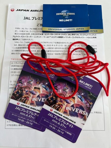 JAL 貸切 プレミアムナイトA賞 ユニバーサル・スタジオ ジャパン USJ