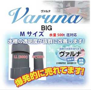 池の水質改善に【ヴァルナ池用】病原菌や感染症など有害物質を強力抑制！透明度が抜群に！池に入れるだけで５００トン浄化！錦鯉飼育者絶賛