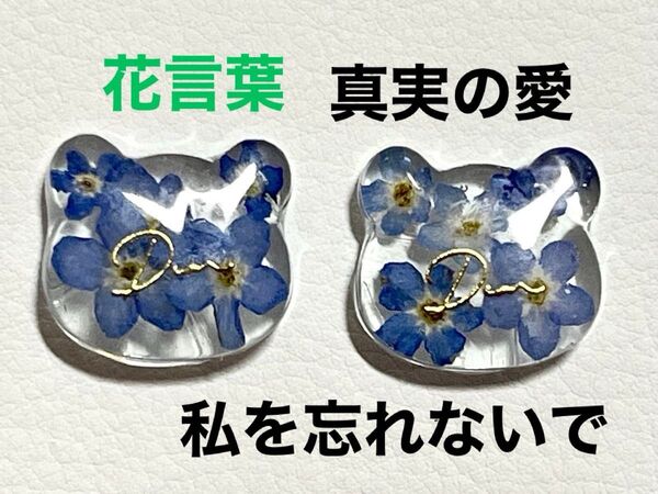 勿忘草 くまさん ピアスorイヤリングに加工致します ハンドメイド レジン 忘れな草 わすれな草