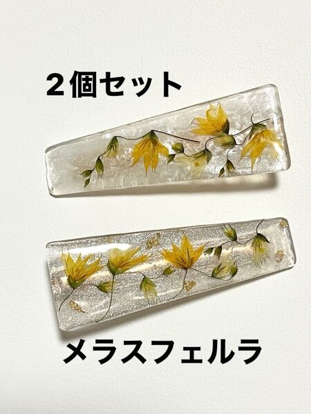 メラスフェルラ② レジン ハンドメイド ヘアクリップ 2個セット 光のさす方へ〜