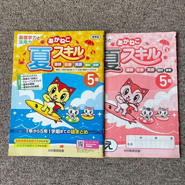 あかねこ夏スキル 5年 夏休み 問題集 ドリル 算数 計算 理科 社会 国語 英語 夏ドリル