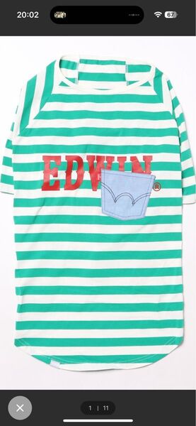 新品 EDWIN エドウィン 犬服 大型犬 ゴールデン ラブラドール レトリバー