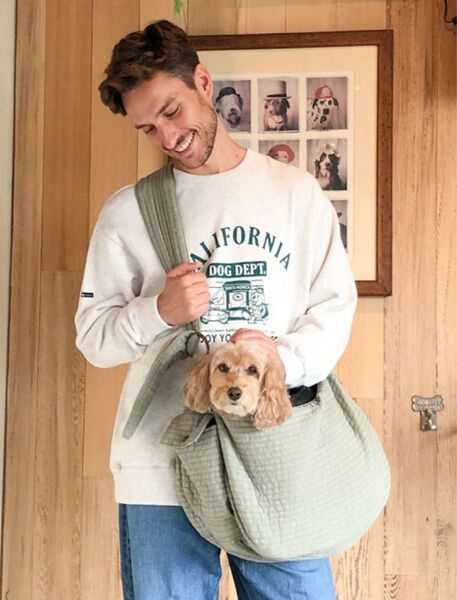 美品 ドッグデプト キャリーバッグ スリング お散歩バッグM 犬 猫 服 小型犬