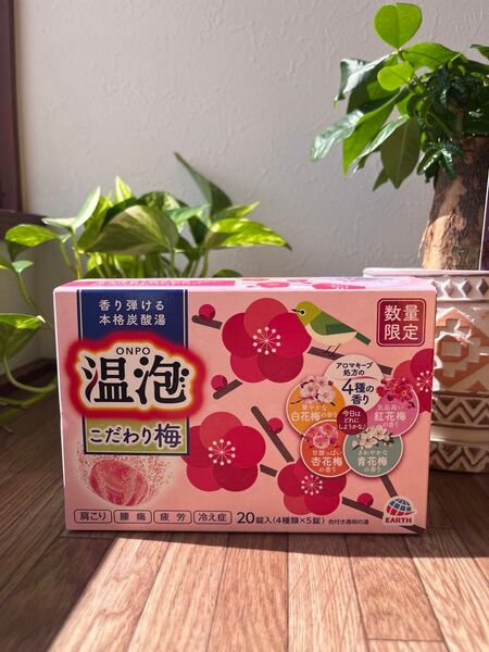 入浴剤 炭酸 アソート 温泡 こだわり梅 詰め合わせ 個包装 透明タイプ アース製薬 1箱 (20錠入り)