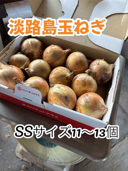 【淡路島産ミニ玉ねぎ 】SSサイズ 11〜13個 農家直送