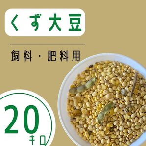 《訳あり》くず大豆20kg 令和6年産 肥料 鳥の餌 飼料 お得 安い おすすめ 選別 福岡県産 小動物 鶏