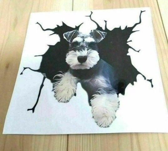 カーステッカー シール 3D 犬 わんちゃん カー用品 かわいい ウォールステッカー 車外アクセサリー シュナウザー 飛び出す
