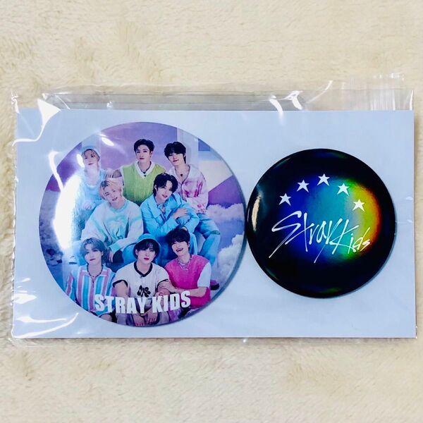 Straykids 5-STAR ドームツアー アップグレード 特典 缶バッジ