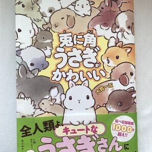 兎に角うさぎかわいい 大賀一五 イラスト集