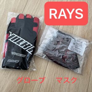 RAYS 手袋 グローブ マスク