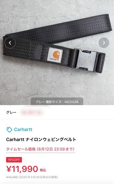 Carhartt/ナイロンウェビングベルト グレー