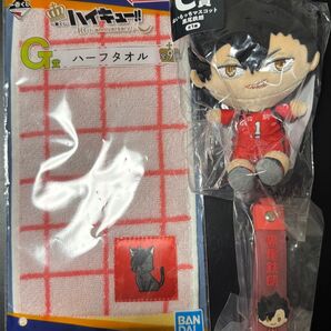 一番くじ ハイキュー!! ~10th anniversary!~ フリューくじ アニメ「ハイキュー!!」ぬいもっち 黒尾鉄朗