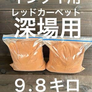 イシダイ用撒き餌 深場用レッドカーペット9.8キロ