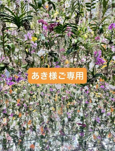 あき様ご専用 ヤング式 なまこっこ 生穀菜食 ハッピータミーティー