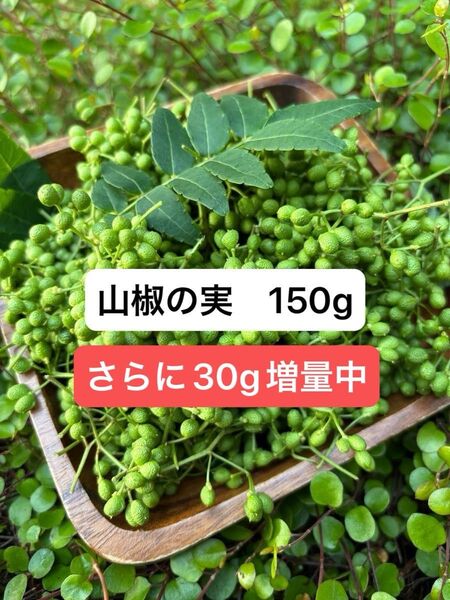 山椒の実 150g 実山椒 無農薬