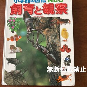 飼育と観察 (小学館の図鑑NEO 15) 筒井学/〔ほか〕指導・執筆・監修 阿部正之/ほか撮影 カバー無し