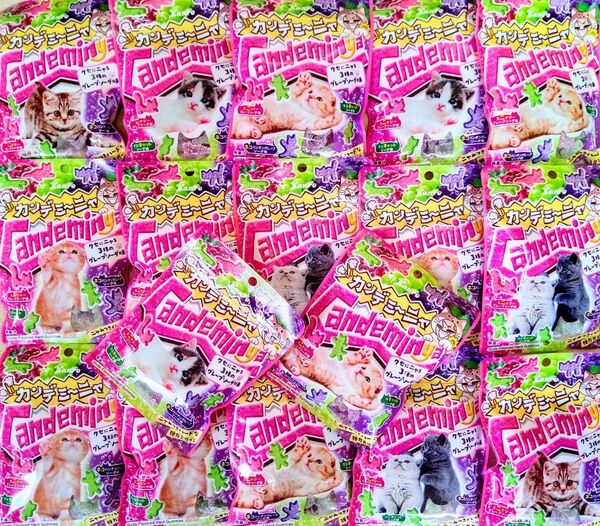 カンロ カンデミーニャ クセにニャる3種のグレープソーダ味 17袋