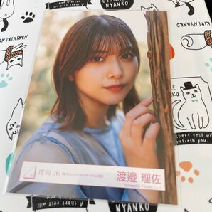 櫻坂46 生写真 渡邉理佐