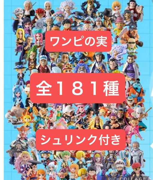 ワンピの実 コンプリート 181種 第一海戦〜二十二海戦 あにまる ウタ ルフィ ワノ国 エッグヘッド 25周年