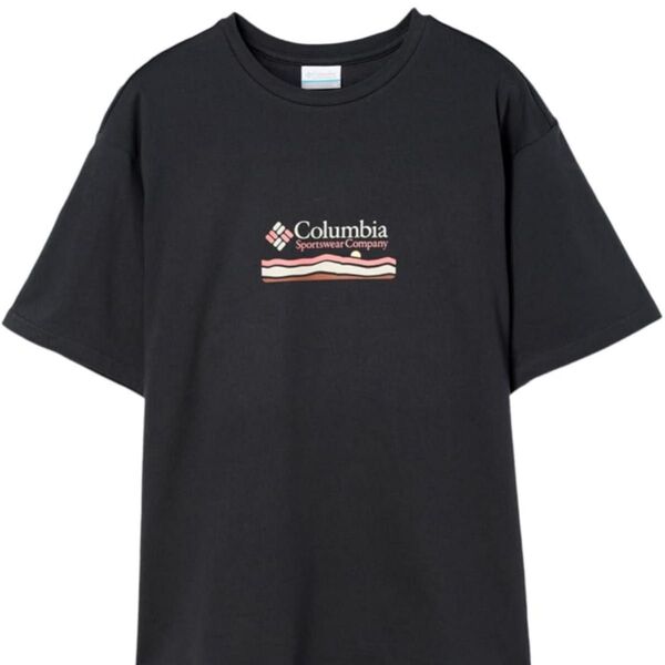 Columbia コロンビア Tシャツ エクスプローラーズ キャニオンバックショートスリーブティー AJ5592 メンズ Mサイズ