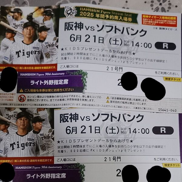 阪神対ソフトバンク 甲子園球場 ライト外野指定席