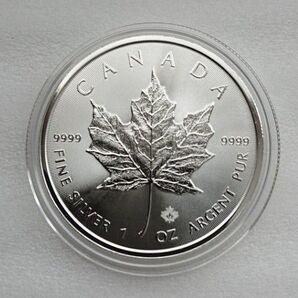 2019年 カナダ メイプルリーフ銀貨 1オンス 純銀 1枚