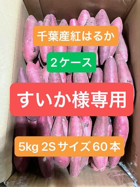 千葉県産紅はるか
