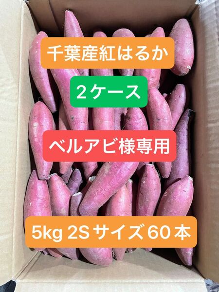 千葉県産紅はるか