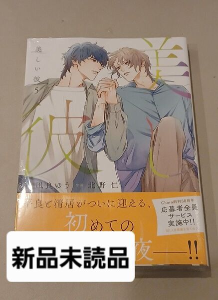 美しい彼 5巻 Chara 北野仁 凪良ゆう コミック