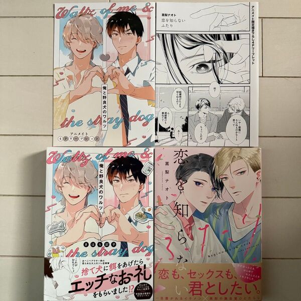 アニメイト限定4Pリーフレット付★新刊BLコミック2冊セット