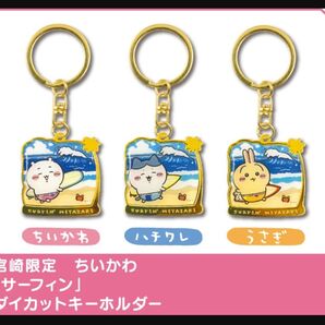 宮崎限定 うさぎ