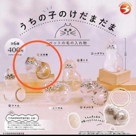 うちの子のけだまだま 三毛猫