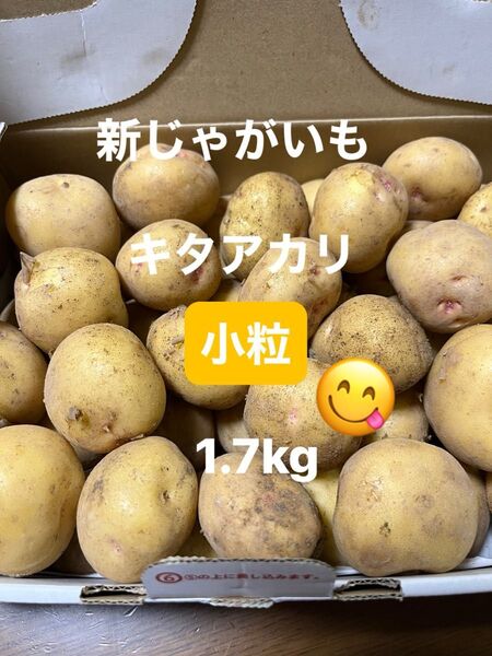 新じゃがいも キタアカリ 小粒 1.7kg