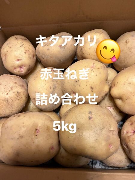 新じゃがいも キタアカリ 赤玉ねぎ 詰め合わせ5kg